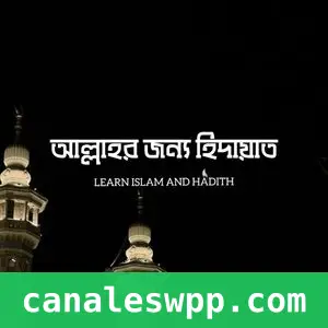 আল্লাহর জন্য হিদায়াত - Hidayat For Allah