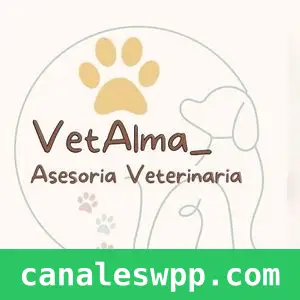 Almavet