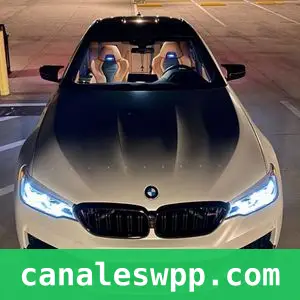 BMW LOVER'S GROUP