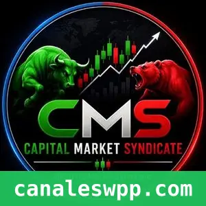 Capital Market Syndicate