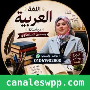 ياسمين السنطاوى