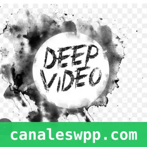 Deep Videos 📸