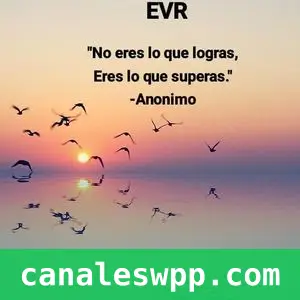 Enseñanzas de la Vida Real