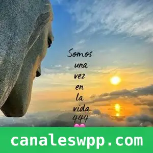 Frases