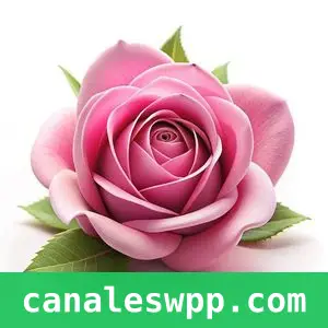 Free business promo