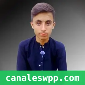 HarisRaufGuide