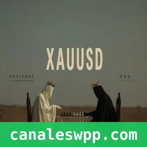👑**MALIK XAUUSD SIGNALS‼️‼️