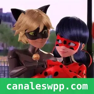 Miraculous Ladybug & Cat noir