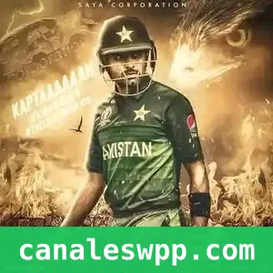 NB Cricket