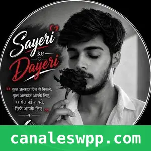 Sayeri Ke Dayeri