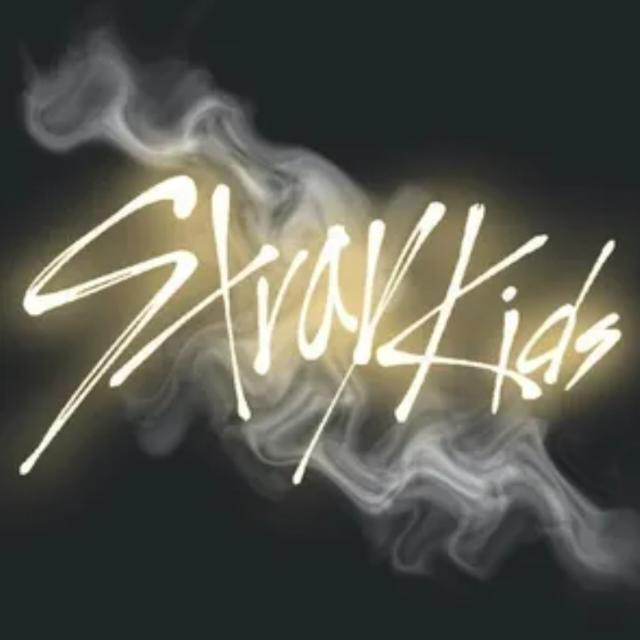 Stray Kids | STAY❤️