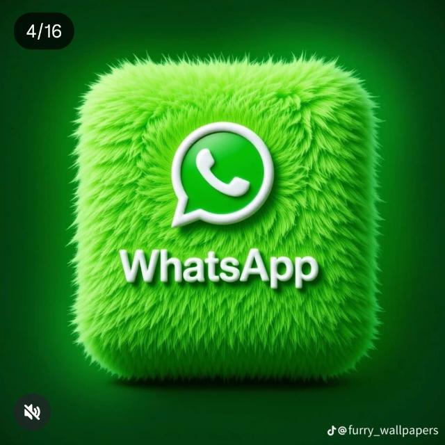 Striker WhatsApp