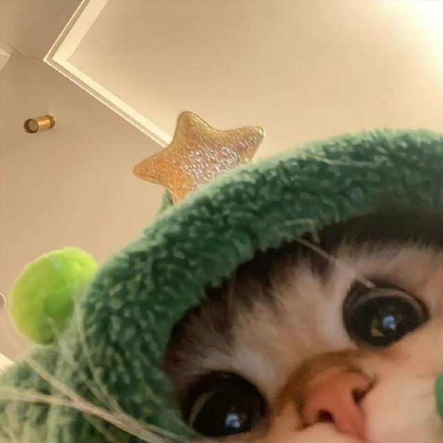 The Palace Of Emy's Heart