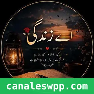 🌹 اے زندگی 🌹 Ae Zindagi
